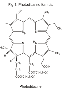 Fig 1: Photoditazine structural formula